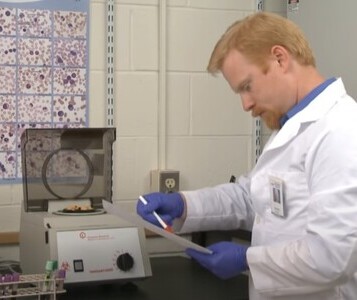 Клиника лечения наркозависимости в Сестрорецке Врач в кабинете клиники